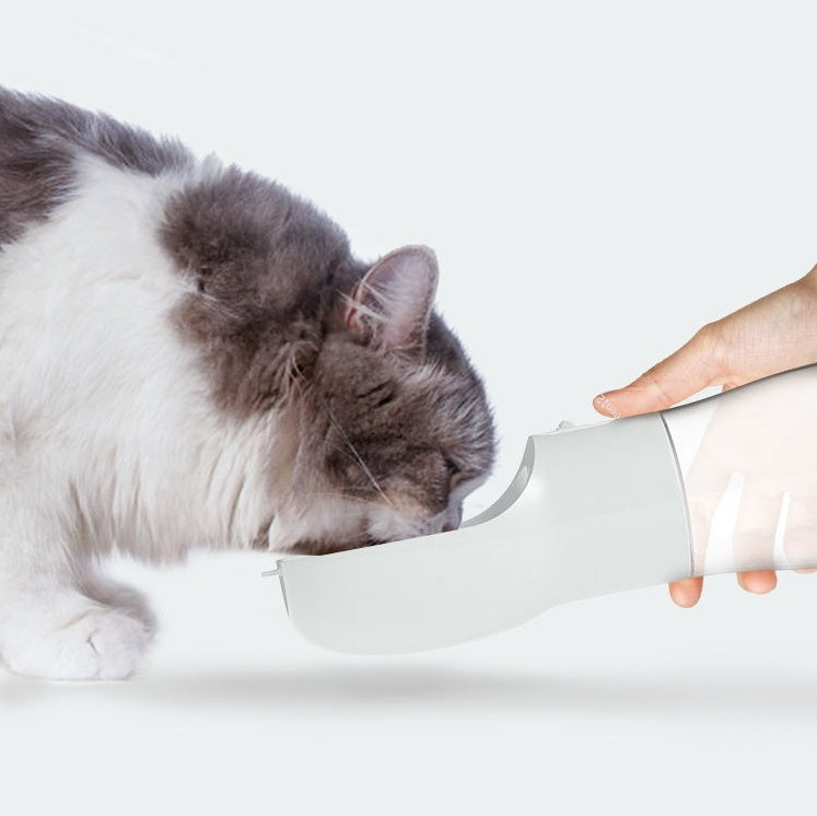 Traveling Outdoor Portable Dog Water Dispenser